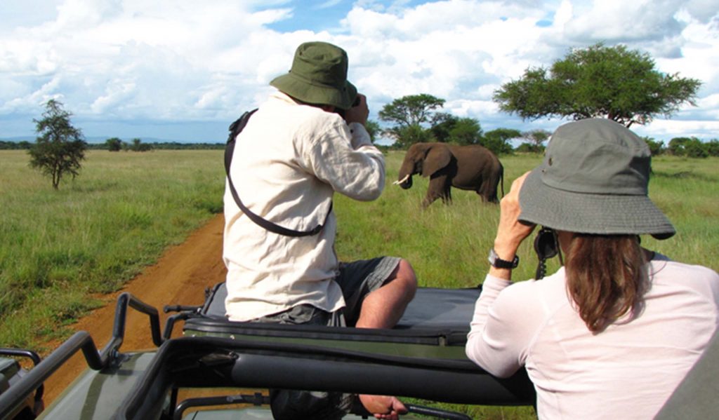 Experience Tanzania safari