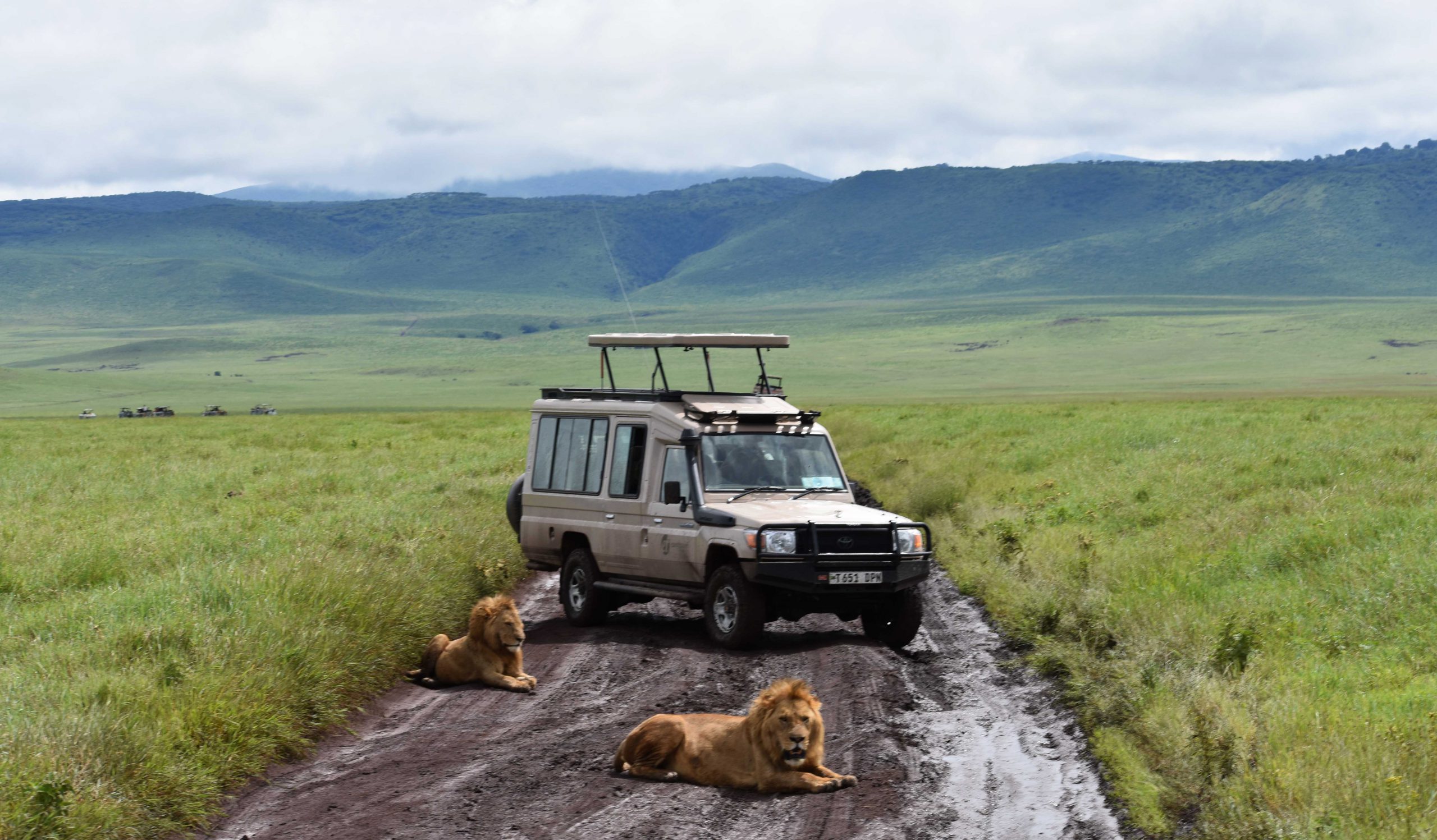 7 days Tanzania safari