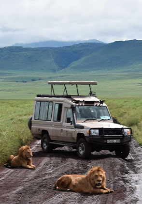 Tanzania safari tour